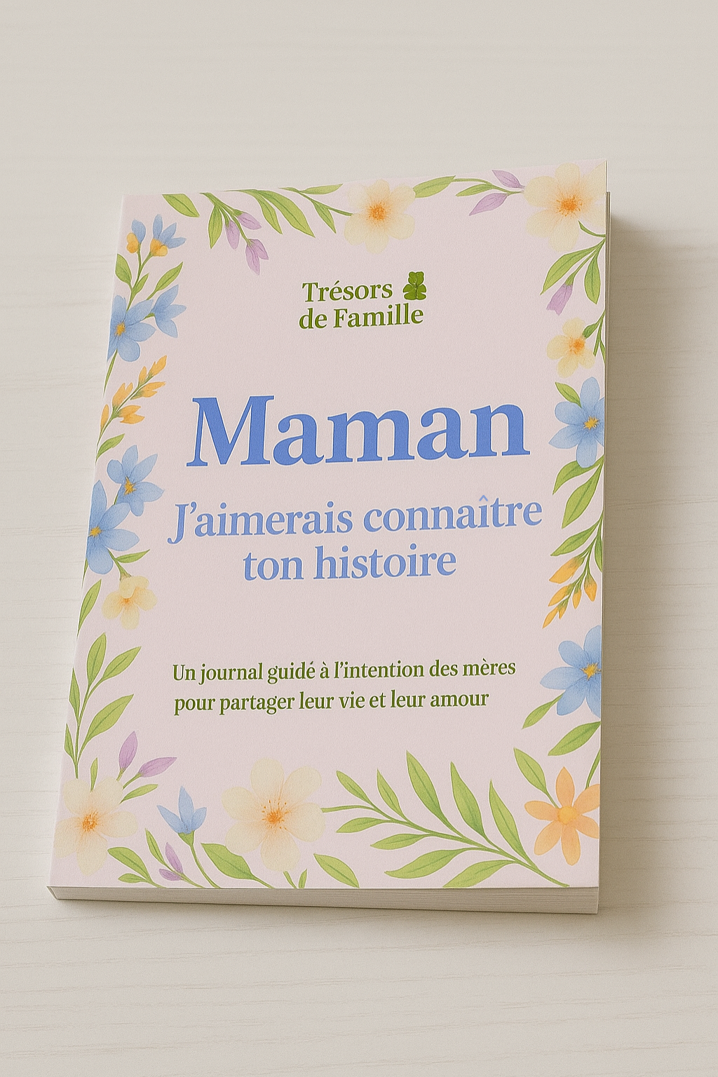 Journal Guidé – Les Souvenirs de Maman